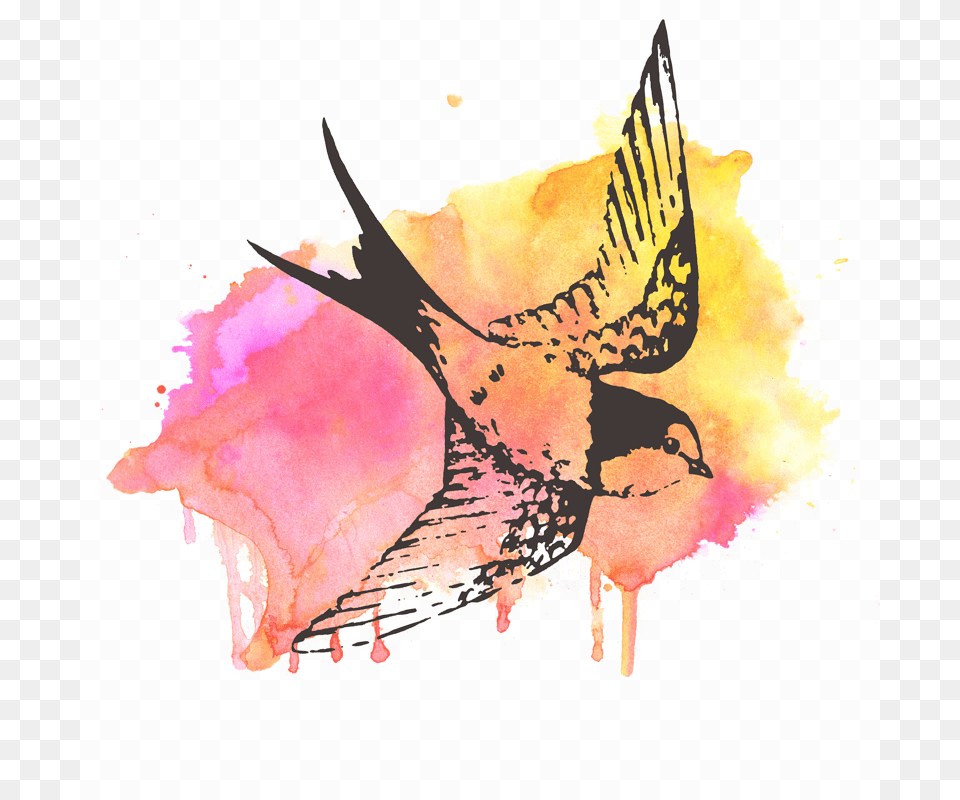 Colorandquill Swallow Watercolor 19 Psalms Topical 1987 Audiobook, Art, Modern Art, Collage Png