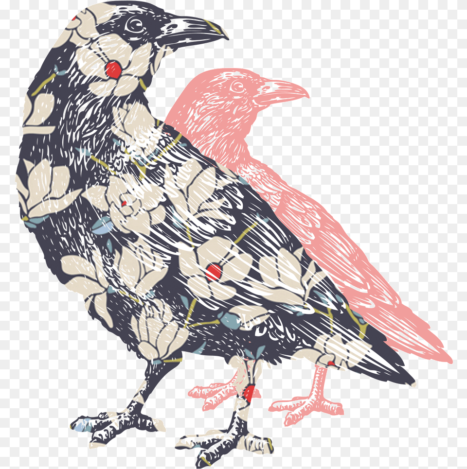 Colored 2 Crows Raven, Animal, Bird, Beak, Vulture Free Png Download