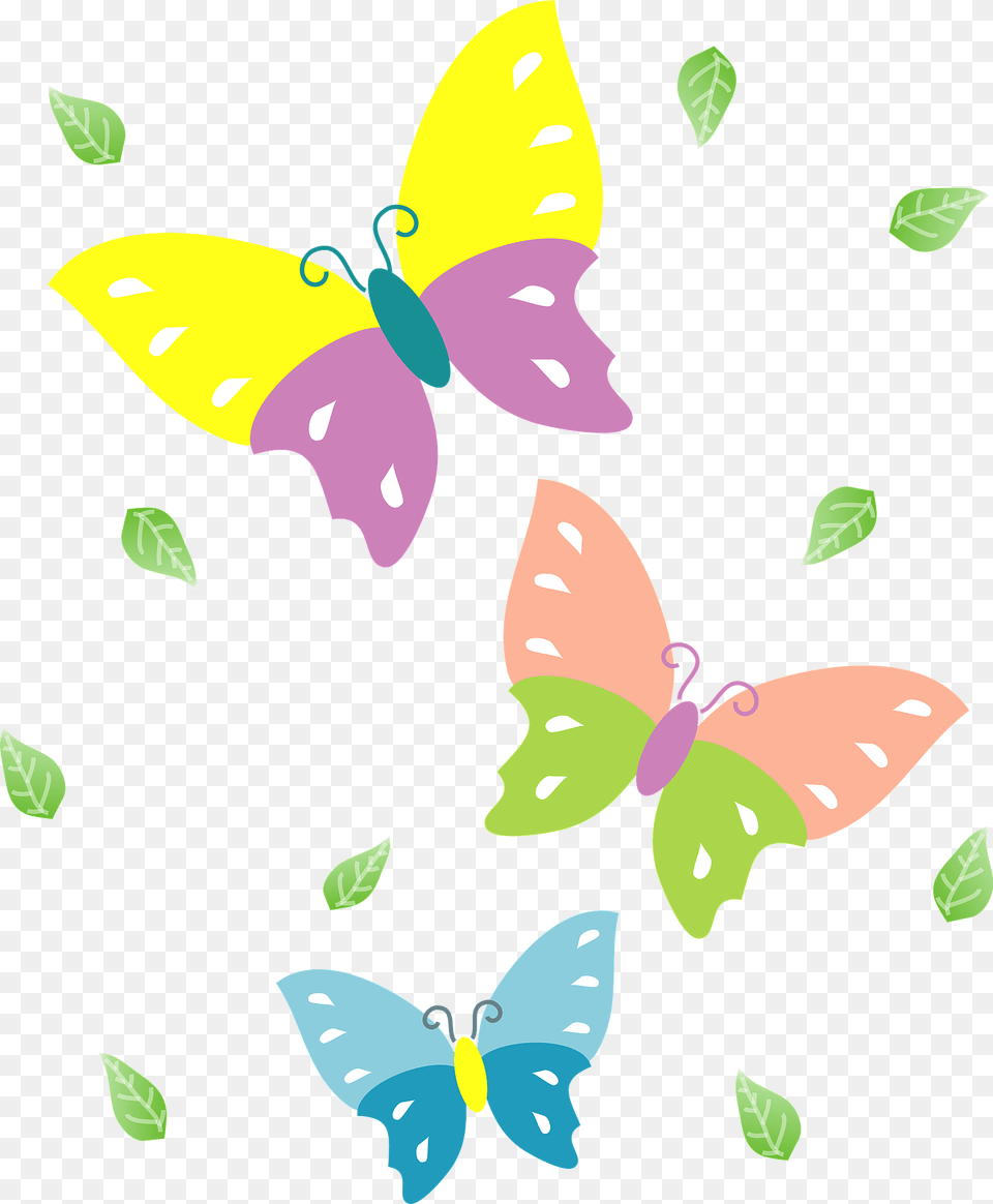 Colored Butterflies Clipart, Art, Graphics, Baby, Person Free Png Download