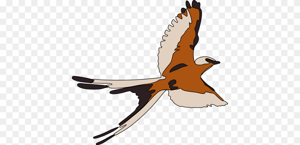 Colored Clip Art Of Flying Bird, Animal, Kite Bird, Beak, Person Png