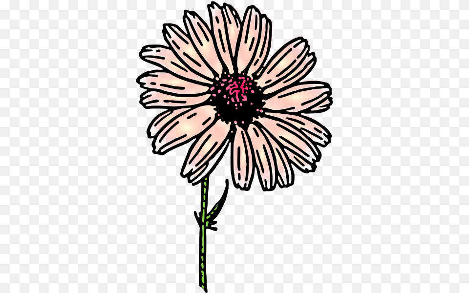 Colored Daisy Clip Arts For Web, Plant, Petal, Dahlia, Flower Free Png