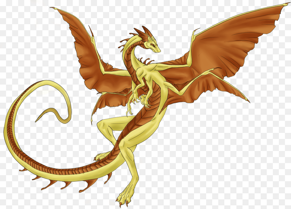 Colored Drawing Dragon Sand Dragons, Person, Face, Head Free Transparent Png