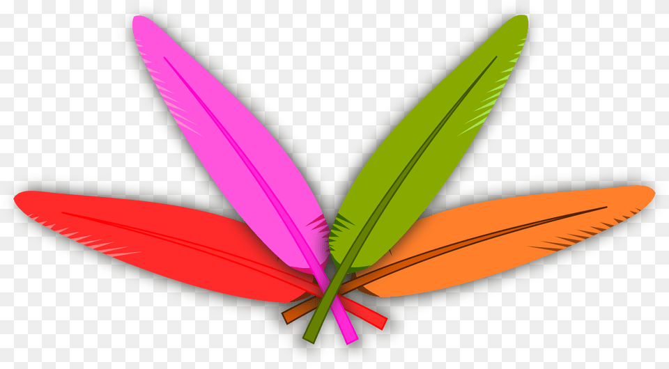 Colored Feather Icons, Plant, Leaf, Flower, Aircraft Png