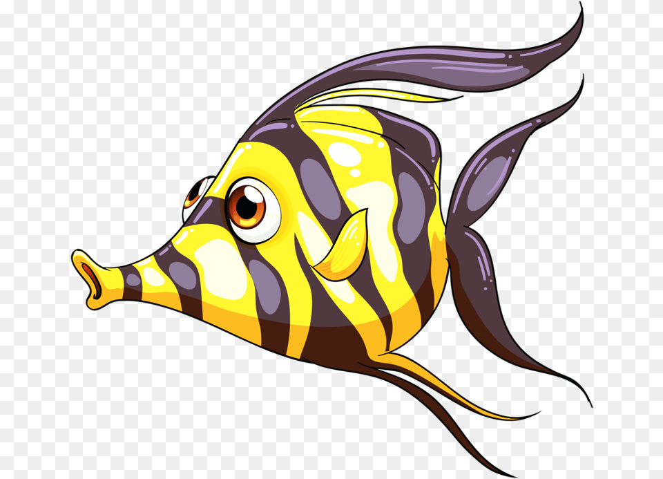 Colored Fish Cartoon, Angelfish, Animal, Sea Life Free Png Download