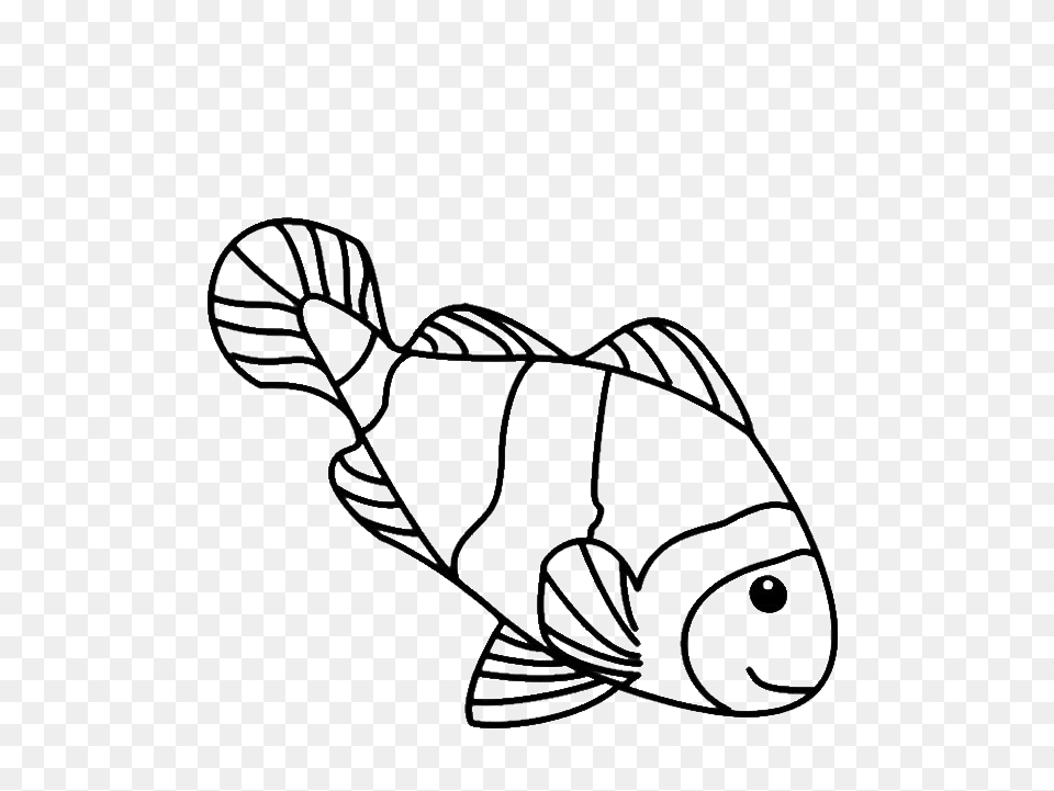 Colored Fish Drawings For Kids, Aquatic, Water, Animal, Sea Life Free Transparent Png