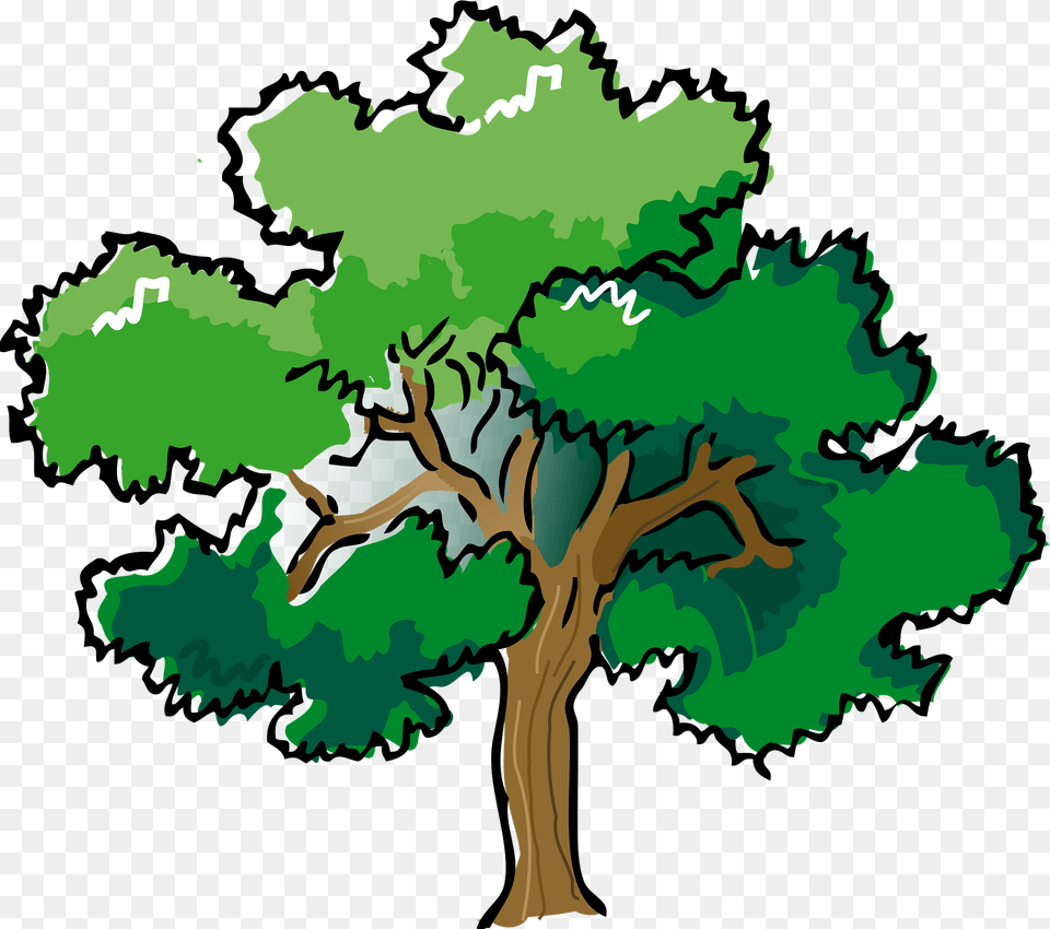 Colored Oak Tree Clipart, Plant, Sycamore, Vegetation, Land Free Png