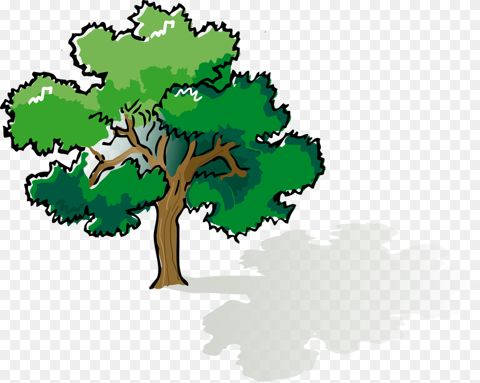 Colored Oak Tree Icons, Sycamore, Plant, Vegetation, Green Free Png