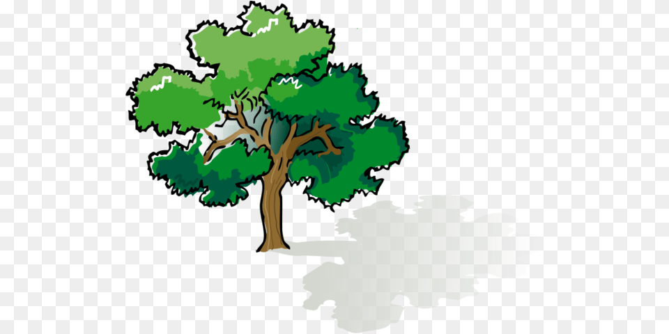 Colored Oak Tree Vector File For Tree Drawing, Plant, Sycamore, Vegetation, Green Free Transparent Png