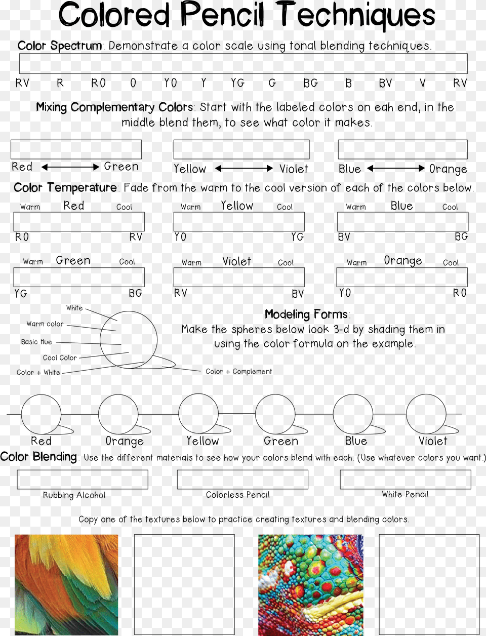 Colored Pencil Blending Exercises, Animal, Bird, Lizard, Reptile Free Transparent Png