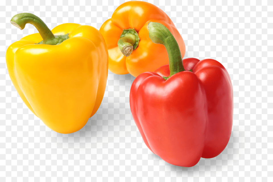 Colored Pepper, Bell Pepper, Food, Plant, Produce Free Png