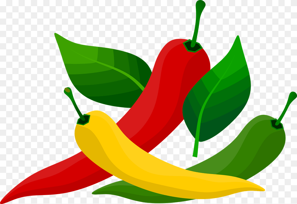 Colored Peppers Clipart, Food, Produce, Pepper, Plant Png