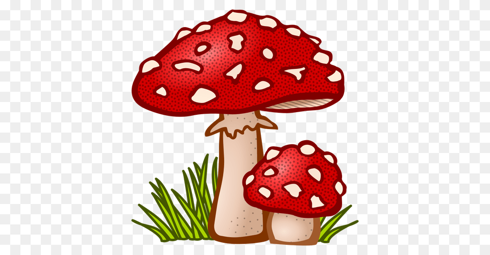 Colored Toadstool, Agaric, Fungus, Mushroom, Plant Png Image