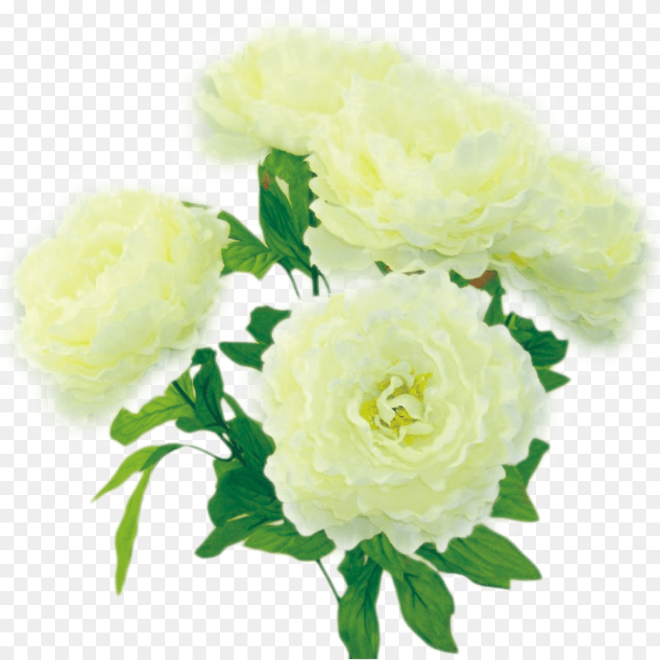 Colorfast Cream Peony Bush Artificial Flower, Plant, Flower Arrangement, Flower Bouquet, Rose Free Png Download