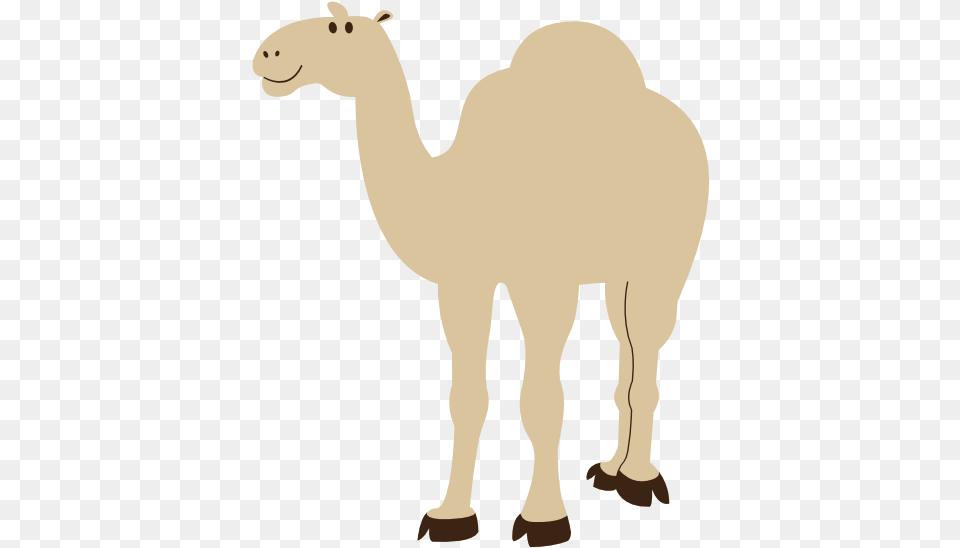 Colorful Animal Camel Geometry 555px Camel Picture No Background, Mammal, Bear, Wildlife Free Png Download