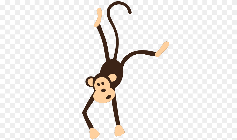 Colorful Animal Monkey Animal, Bee, Insect, Invertebrate, Wasp Free Transparent Png