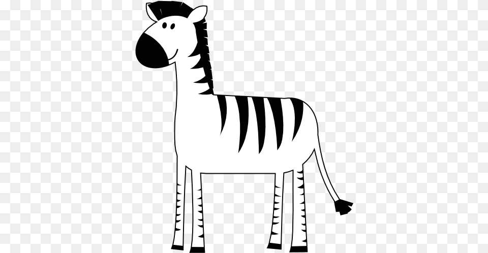 Colorful Animal Zebra 555px 34 Zebra Black And White Clipart, Stencil Free Png Download