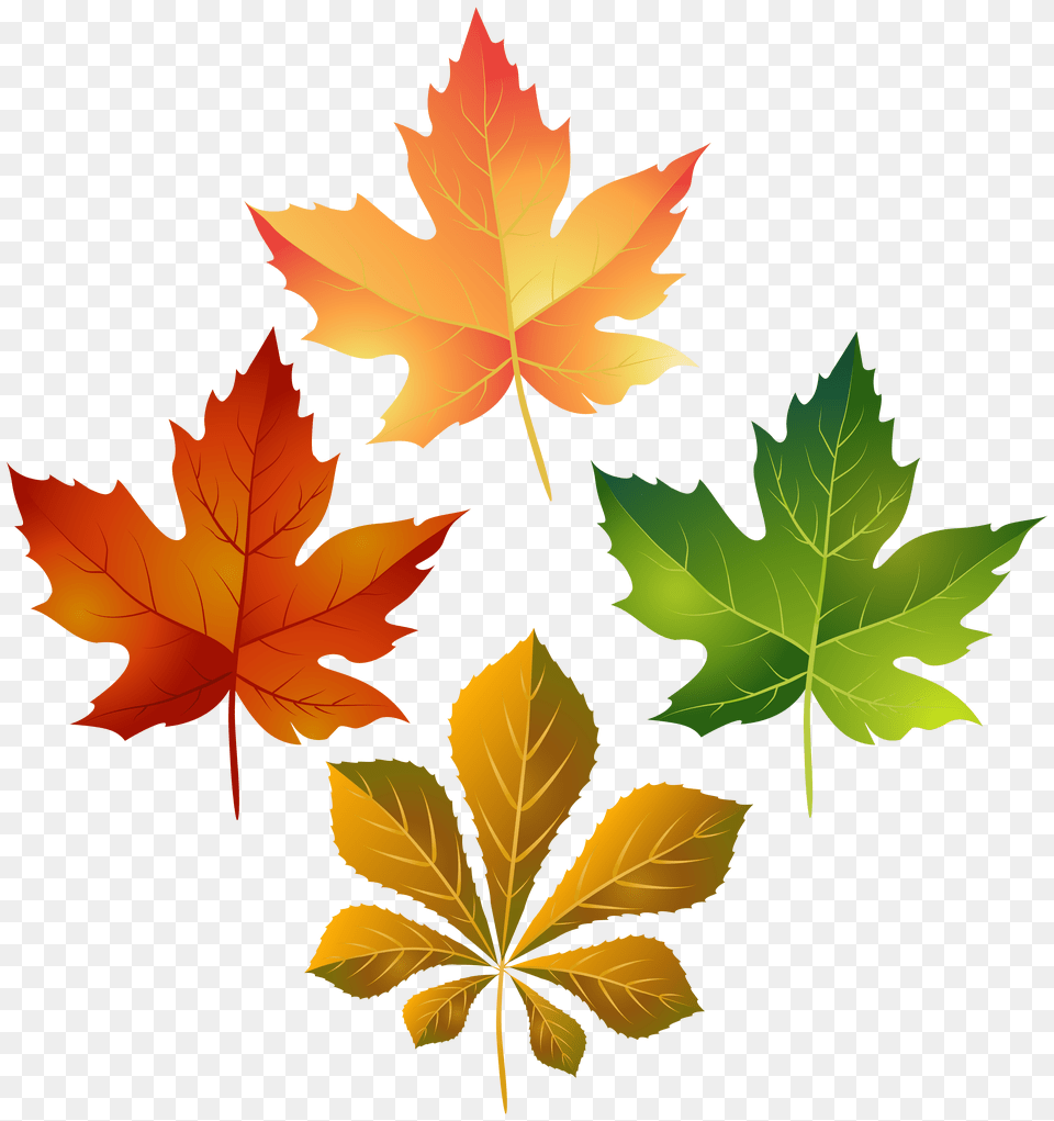 Colorful Autumn Leaves Clip Art, Floral Design, Graphics, Green, Pattern Png Image