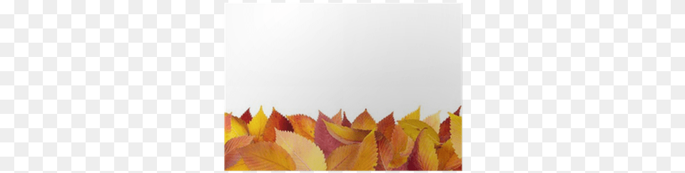 Colorful Autumn Leaves Lying Down On The Ground Poster Autumn, Leaf, Plant, Tree Free Png Download