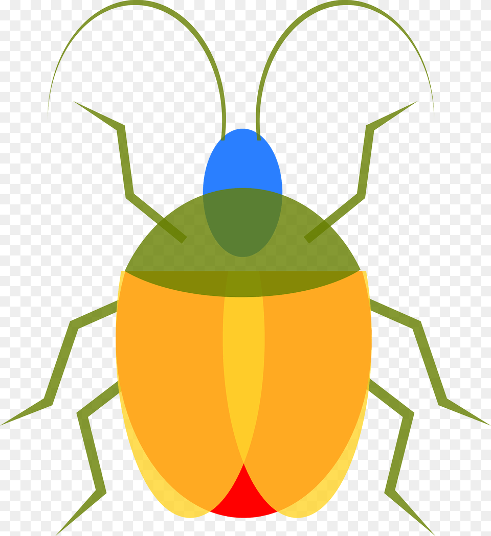 Colorful Beetle Clipart, Animal, Firefly, Insect, Invertebrate Png