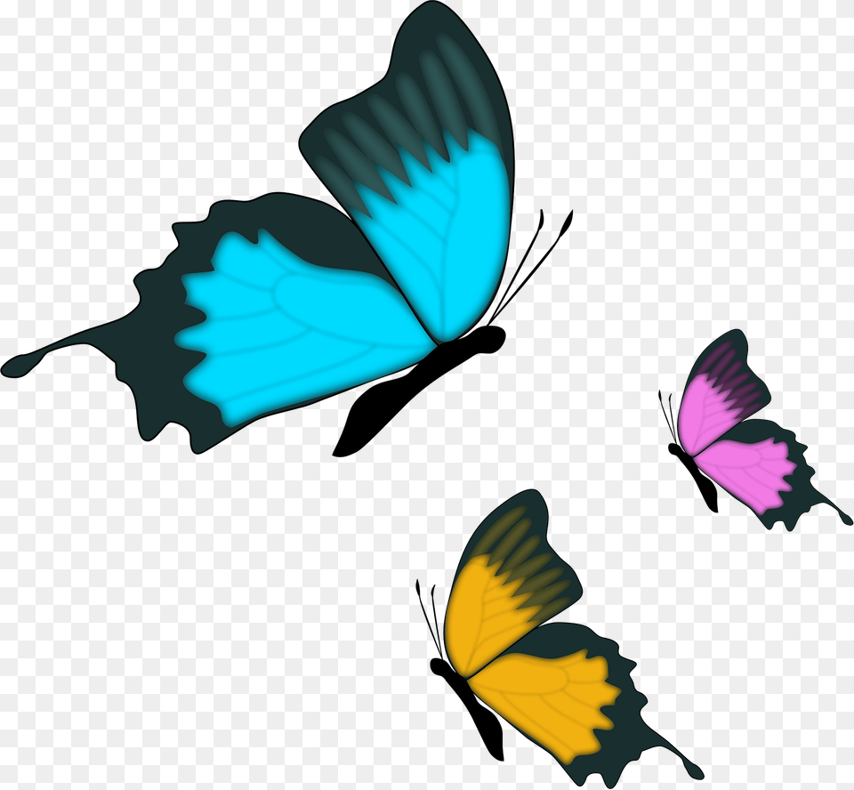 Colorful Butterflies Clipart, Animal, Bird, Flying, Butterfly Free Png