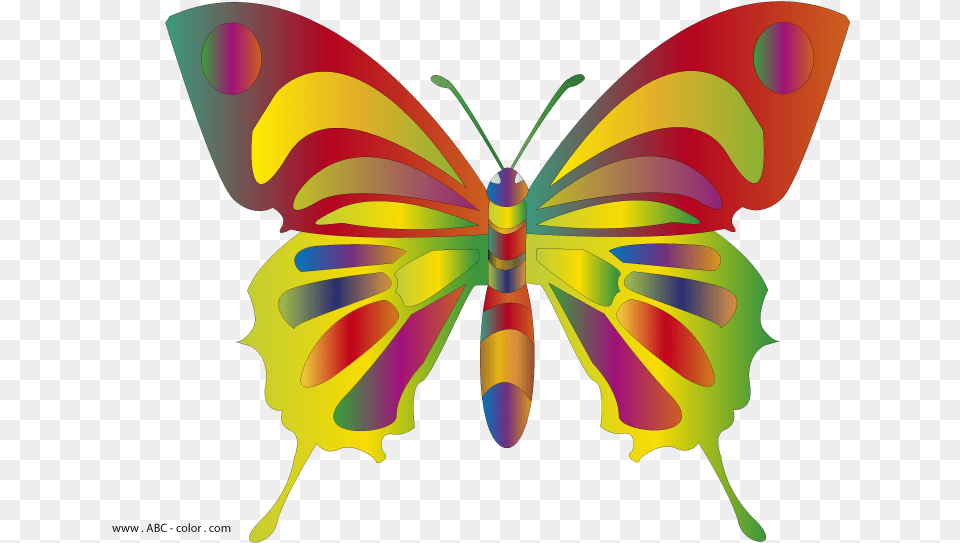 Colorful Butterflies Clipart Butterfly Clip Art, Graphics, Weapon, Dynamite, Bee Png