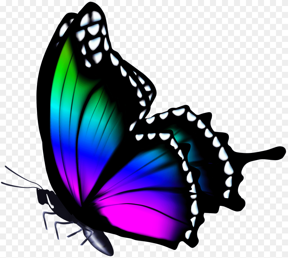 Colorful Butterfly Clip Art, Animal, Insect, Invertebrate, Person Png