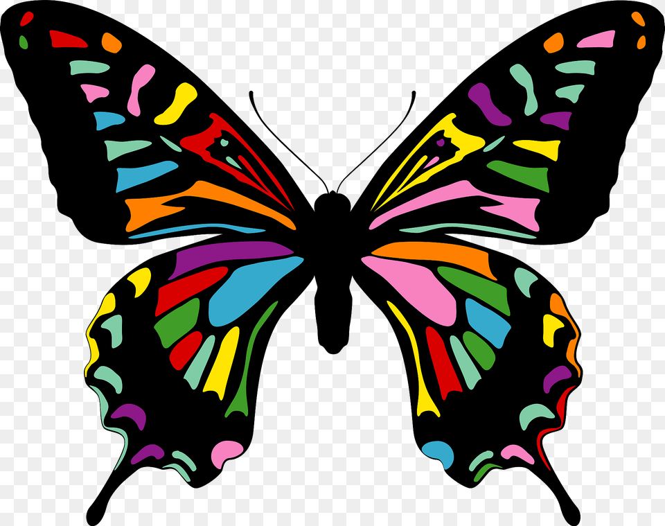 Colorful Butterfly Clipart, Animal, Insect, Invertebrate, Person Free Transparent Png