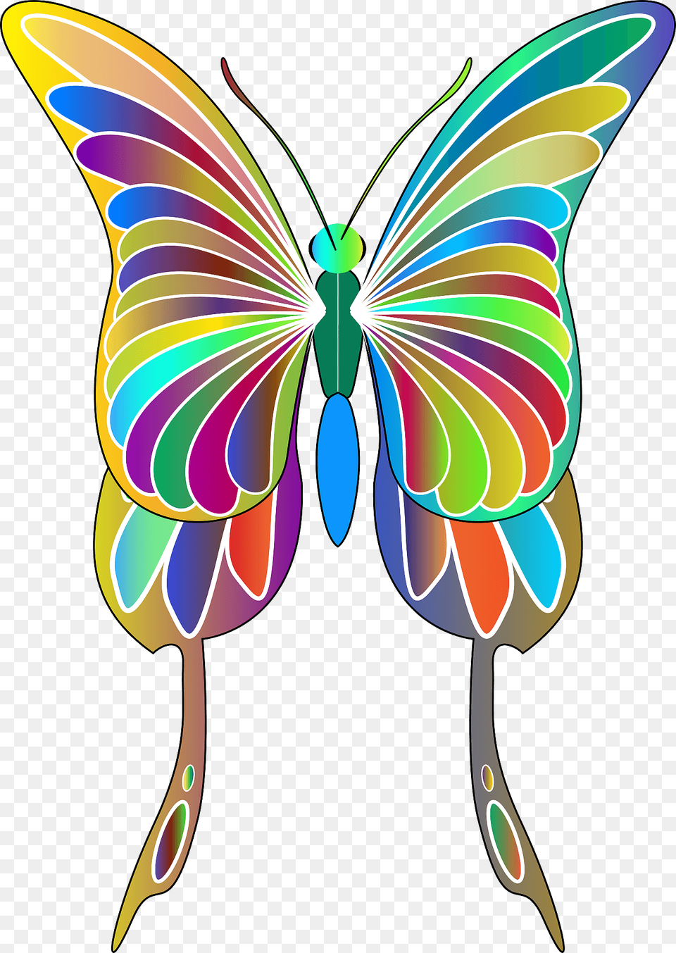 Colorful Butterfly Clipart, Art, Graphics, Modern Art, Floral Design Free Png Download