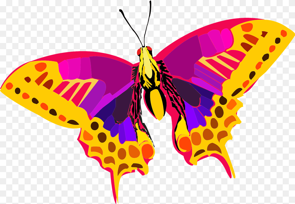 Colorful Butterfly Clipart, Animal, Insect, Invertebrate, Moth Png Image