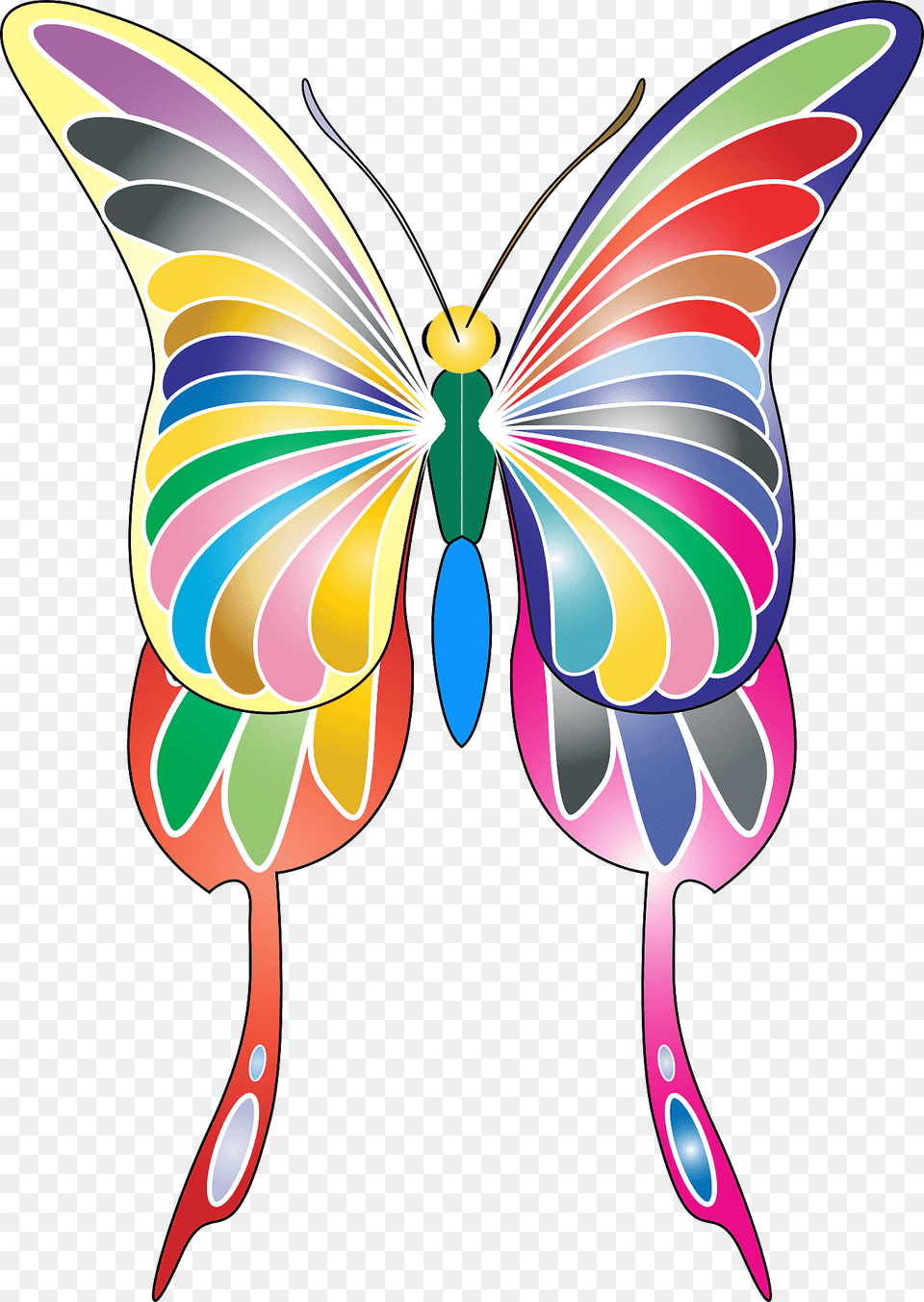 Colorful Butterfly Clipart, Art, Graphics, Animal, Sea Life Free Png Download
