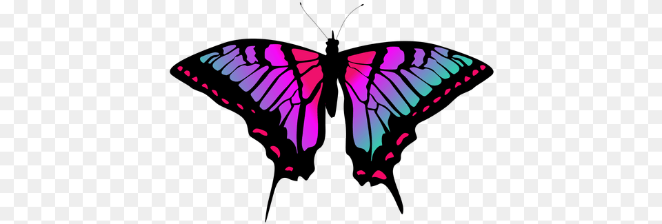 Colorful Butterfly Vector Mariposa Vector, Purple, Animal, Insect, Invertebrate Free Png Download