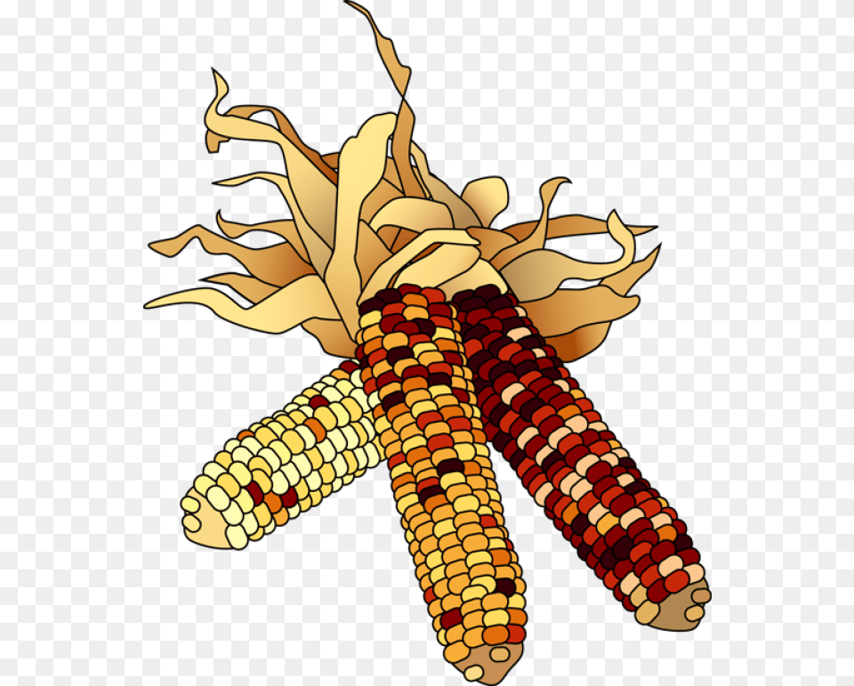 Colorful Clip Art For The Autumn Season Dried Indian Corn Clipart Indian Corn, Food, Grain, Plant, Produce Free Png