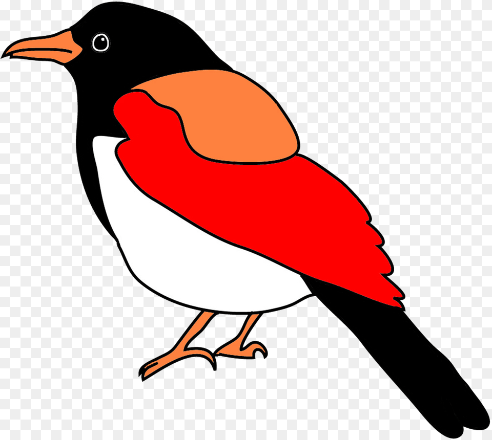 Colorful Drawings Of Birds, Animal, Beak, Bird, Finch Free Transparent Png