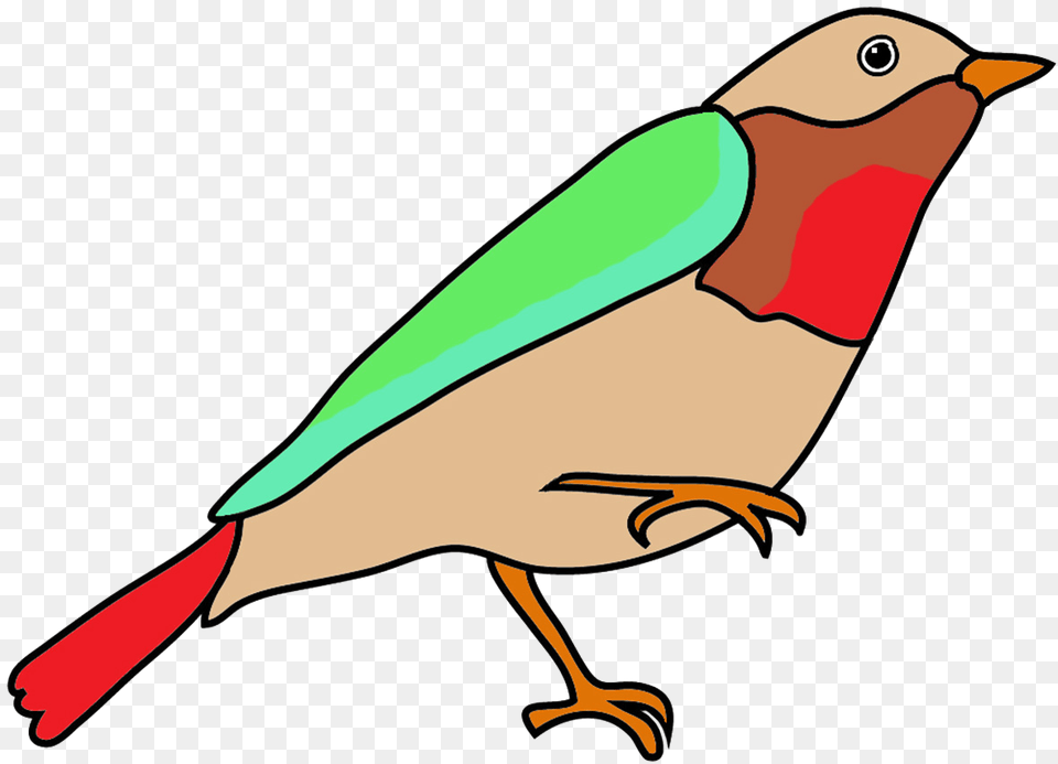 Colorful Drawings Of Birds, Animal, Beak, Bird, Finch Free Png Download