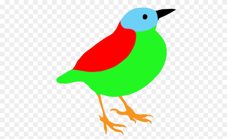 Colorful Drawings Of Birds, Animal, Bird, Finch, Dinosaur Free Png