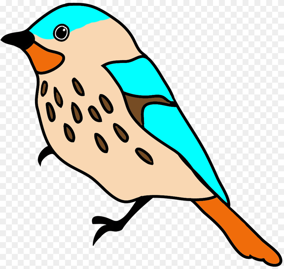 Colorful Drawings Of Birds, Animal, Bird, Jay, Bluebird Free Png