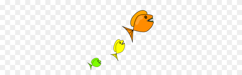 Colorful Fish Clip Art, Animal, Bird Free Png Download
