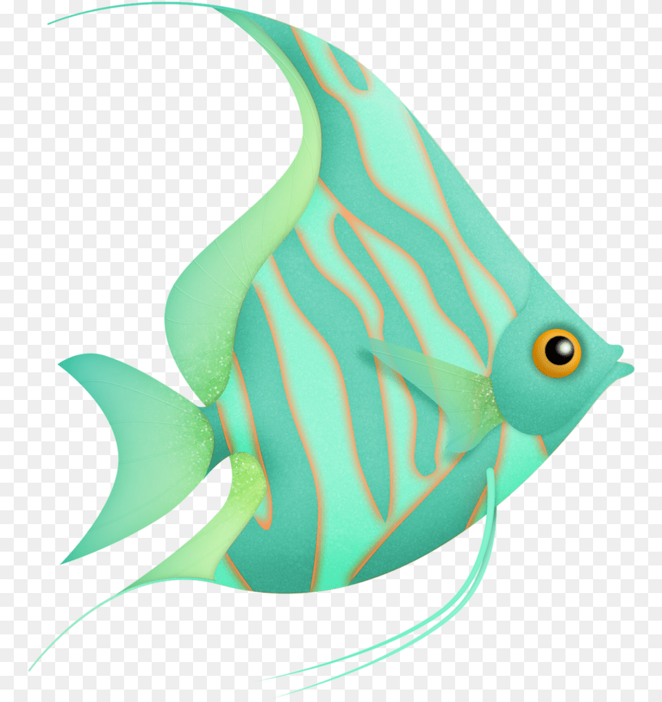 Colorful Fish Clipart, Angelfish, Animal, Sea Life, Shark Png Image