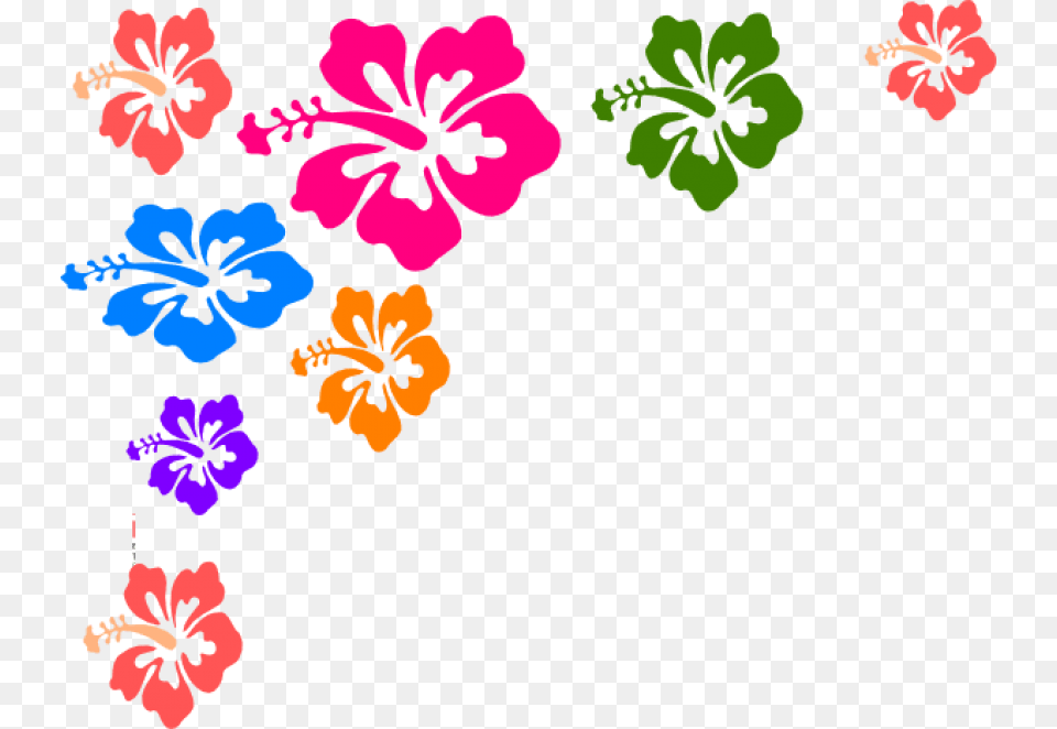 Colorful Floral Corner Borders Image Vector Colorful Flowers, Flower, Hibiscus, Plant Free Transparent Png