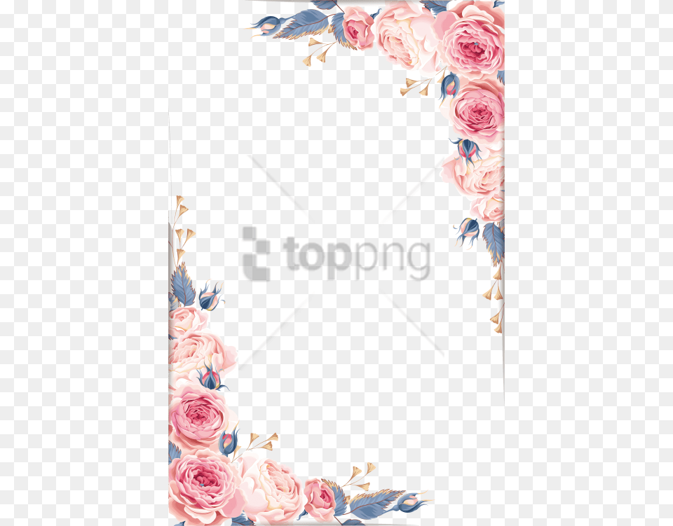 Colorful Floral Design Images Floral Frame Transparent, Rose, Plant, Flower, Mail Free Png