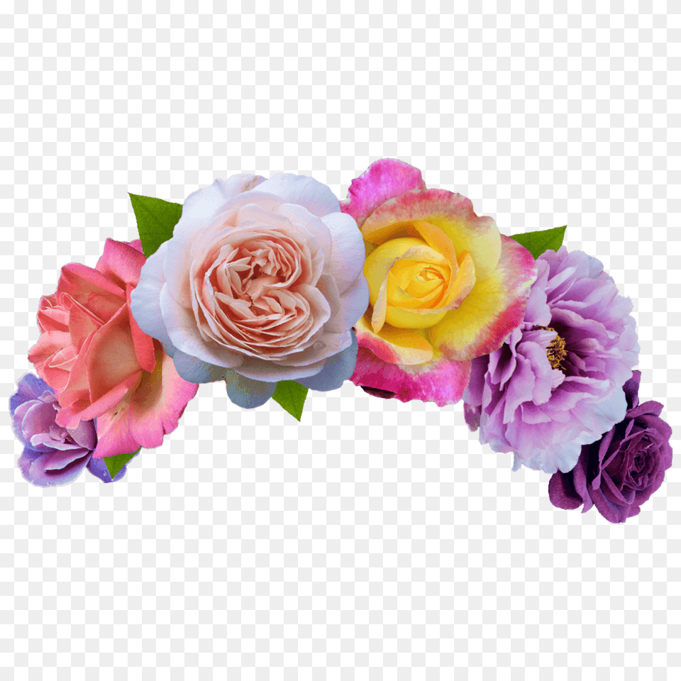 Colorful Flower Crown Flower Crown, Flower Arrangement, Flower Bouquet, Plant, Rose Free Png