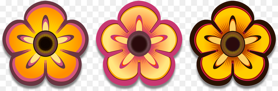 Colorful Flower Design Clipart, Plant, Daisy, Art, Graphics Free Transparent Png
