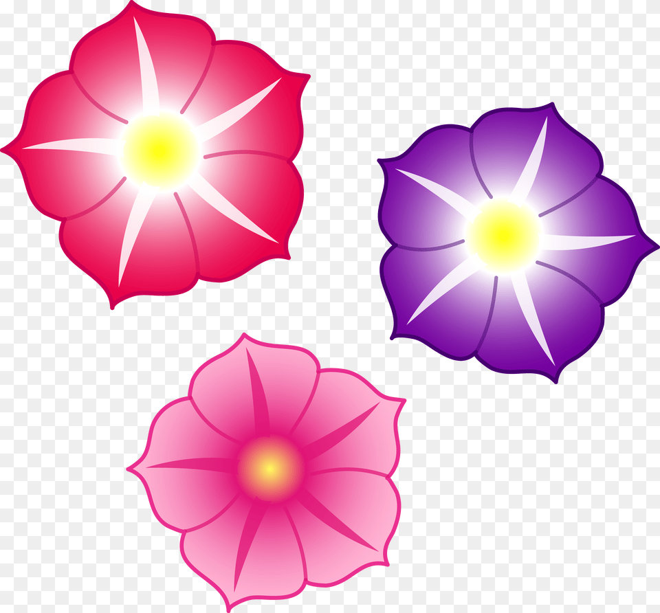 Colorful Flowers File, Anemone, Flower, Petal, Plant Free Transparent Png