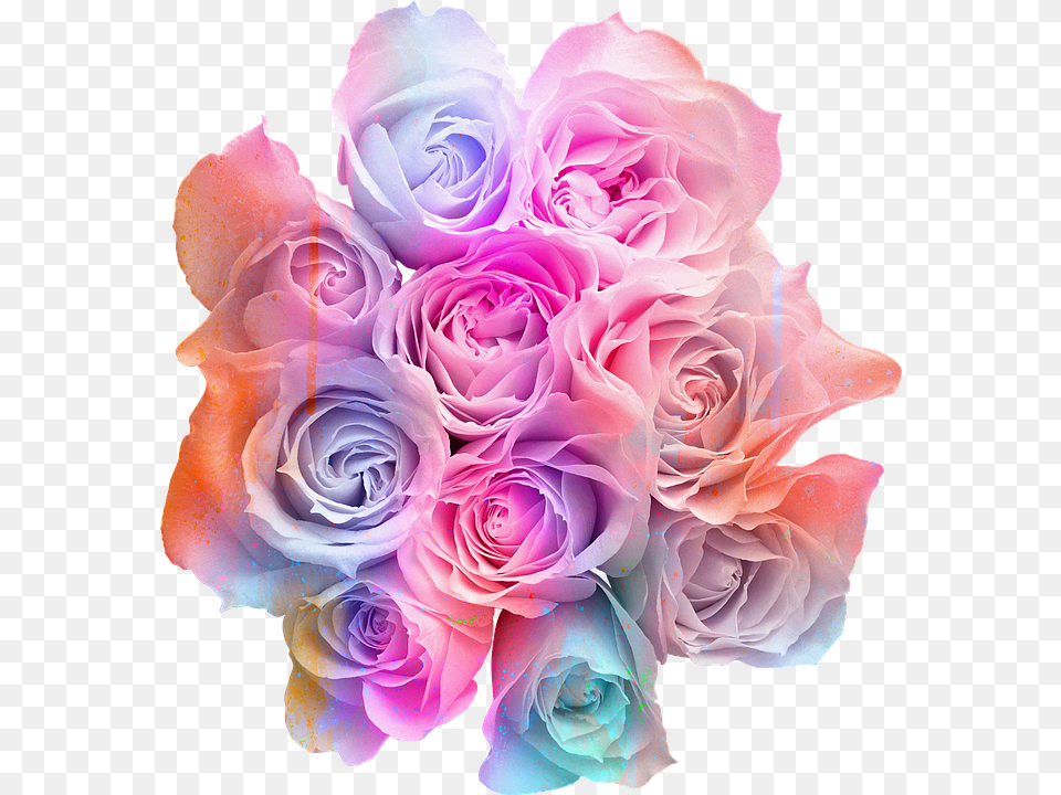 Colorful Flowers Transparent Background, Flower, Flower Arrangement, Flower Bouquet, Plant Png