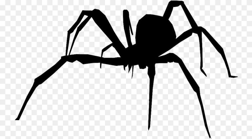 Colorful Freaky Giant Spiders Eight Legged Freaks Queen Spider, Animal, Invertebrate, Bow, Weapon Png Image