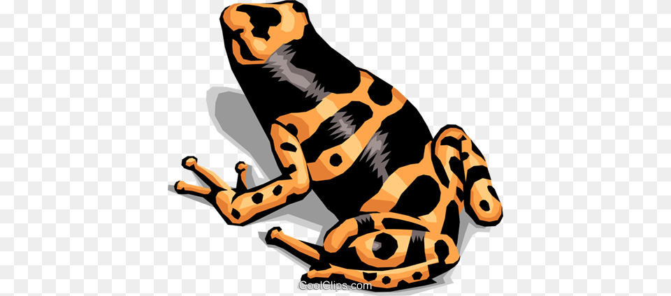 Colorful Frog Royalty Free Vector Clip Art Illustration, Amphibian, Animal, Wildlife, Person Png Image