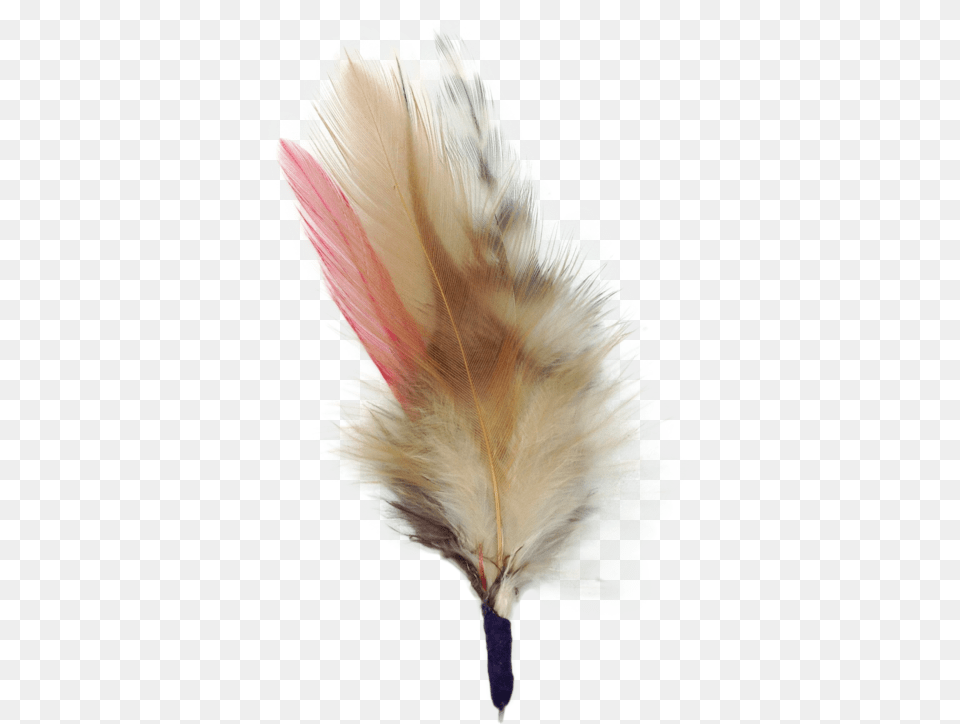Colorful German Hat Single Feather Beige, Flower, Petal, Plant, Accessories Png Image