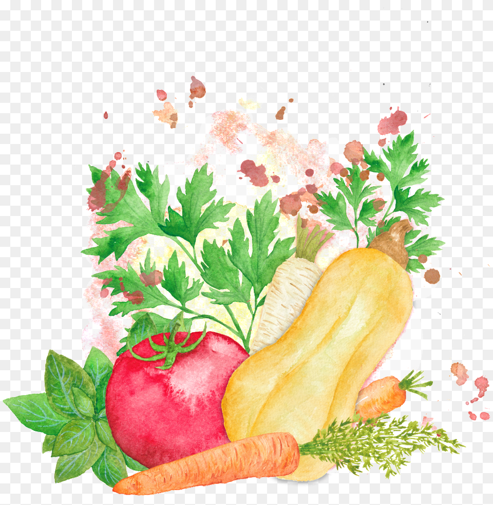Colorful Hand Drawn Cartoon Vegetable Kitchen Herbs, Plant, Food, Leaf Free Transparent Png