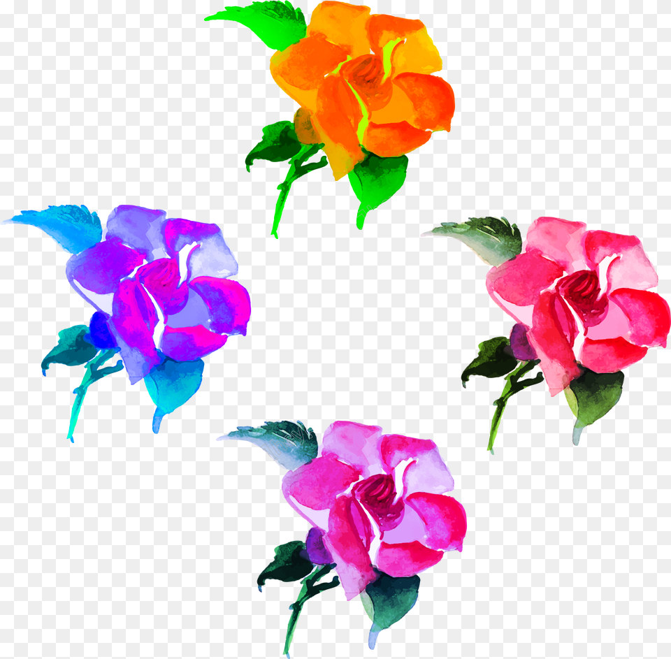 Colorful Hand Painted Flowers, Flower, Plant, Rose, Petal Free Transparent Png