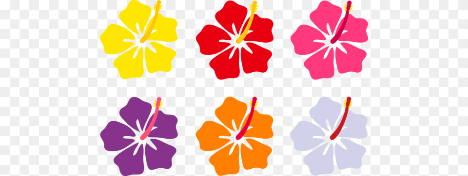 Colorful Hibiscus Flowers Clip Art Flowersugs, Flower, Plant, Anther, Rose Free Transparent Png